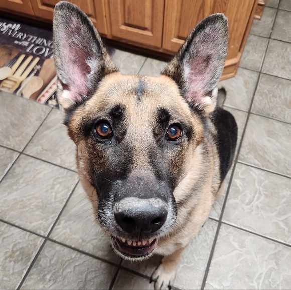 💥LIKE TO BE NOTIFIED💥 2025 SCHEDULE - Picture 5 of 7